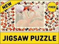 Jigsaw Puzzle